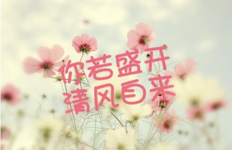 盛开，在这春光里